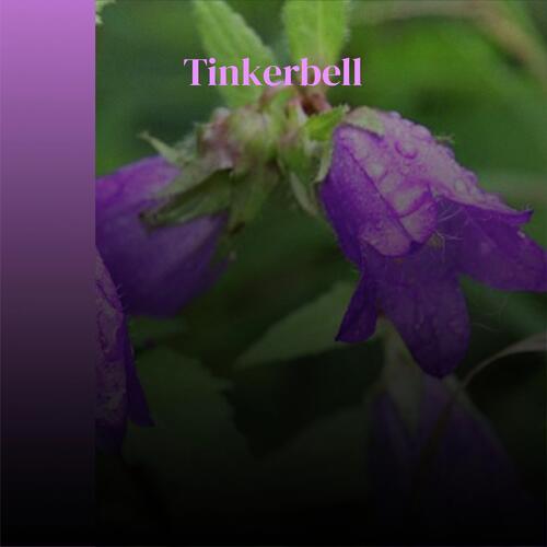 Utmost Shipping cover art