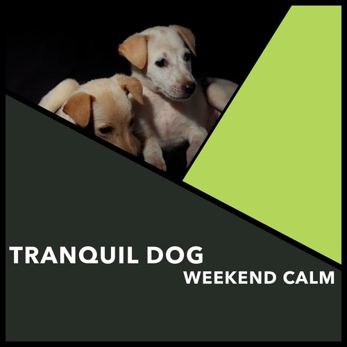 Tranquil Dog Weekend Calm_poster_image