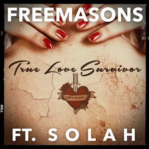 True Love Survivor (Remixes)_poster_image