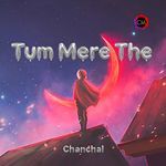 Tum Mere The