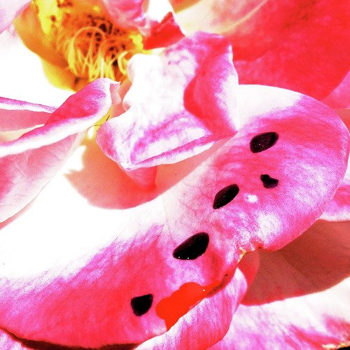Beach Season cover art