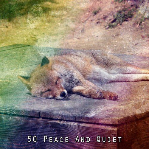 50 Peace And Quiet