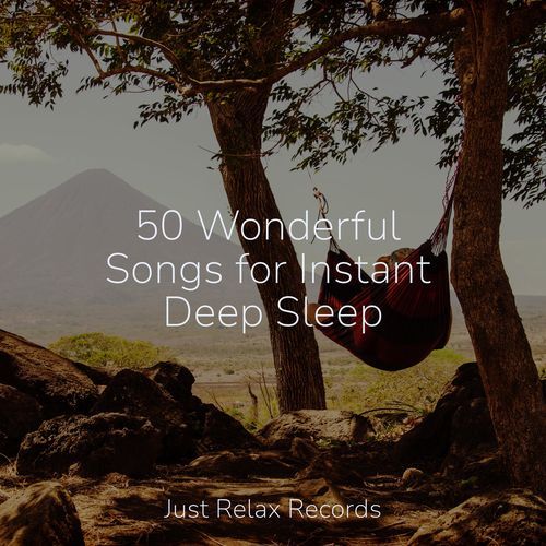 50 Wonderful Songs for Instant Deep Sleep