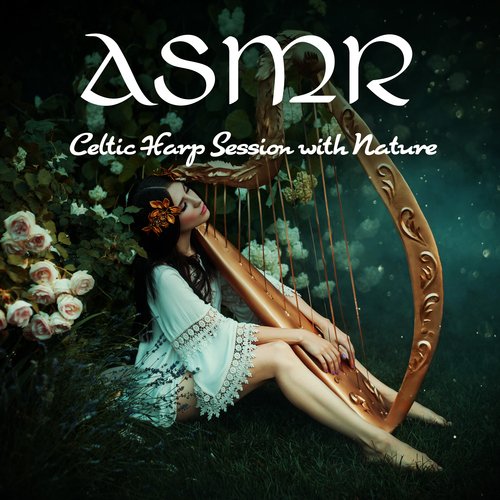 Celtic Harp Soundscapes