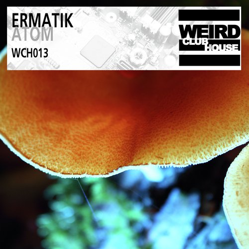 Zimt cover art