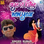Aye Vi Kitne New Year