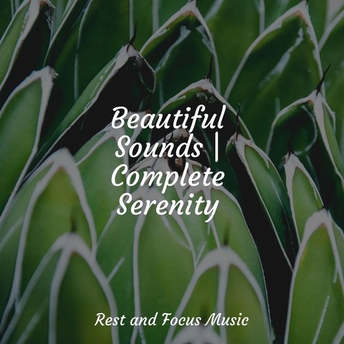 Heavenly Harmony cover art