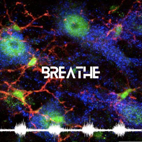Breathe