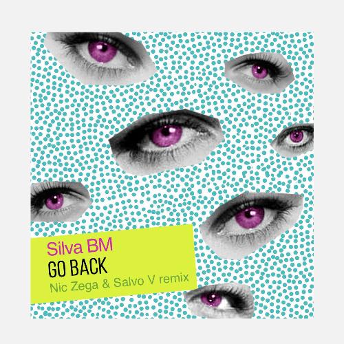 Go Back (Salvo V Remix) cover art