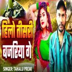 Hilo Tisri Bajariya Ge