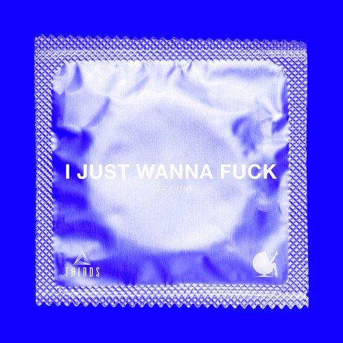 I Just Wanna Fuck (Thirds Remix)_poster_image