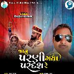 Janun Parni Gaya Pardesh Re