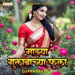 Mazya Gulabachya Fula