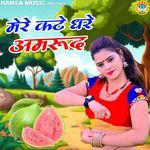 Mere Kate Dhare Amrood artwork