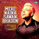 Mere Naina Sawan Bhadon