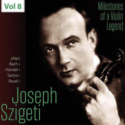 Violin Concerto in D Minor, DouT 45: II. Grave cover art