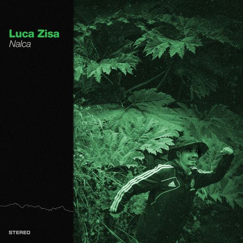 NALCA cover art