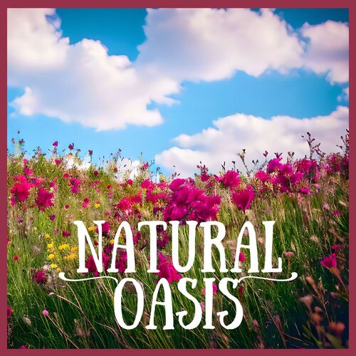 Meditate with Nature cover art