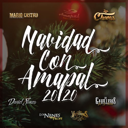 Navidad Con Amapal 2020