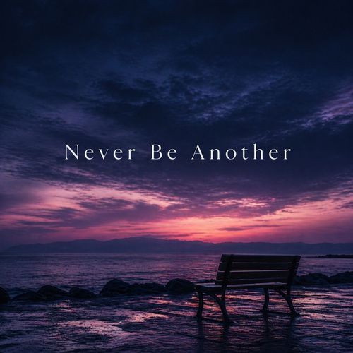 Never Be Another