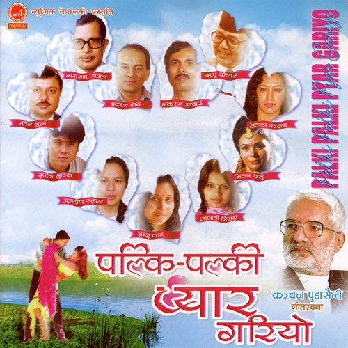 Palki Palki Pyar Gariyo_poster_image