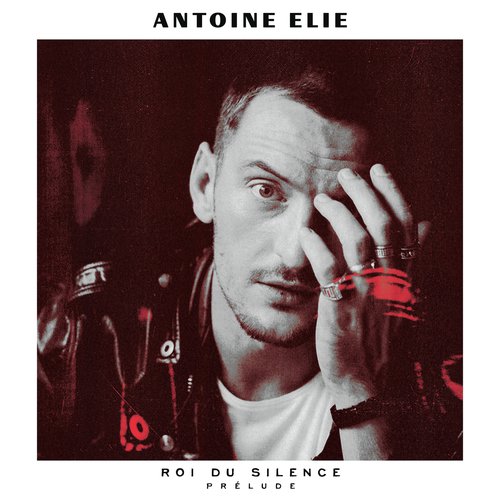 La rose et l'armure (Kadebostany remix) cover art