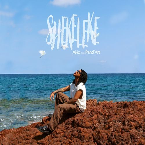 Shekeleke cover art