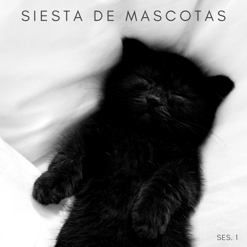 Música Para Perros cover art