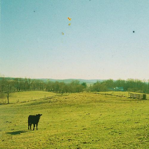 Steve&#039;s Upright