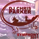 Symphony 2011 (Martin Hardwell Remix) artwork