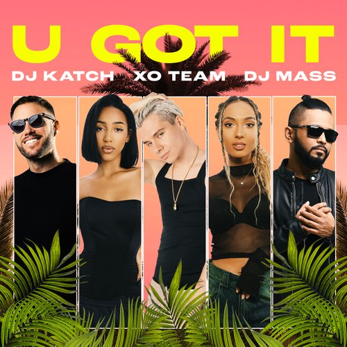 U Got It_poster_image