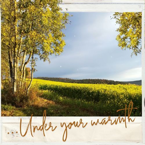 Under your warmth
