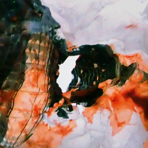 The Black Calypso cover art
