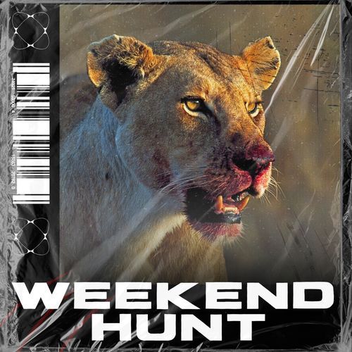 Weekend Hunt