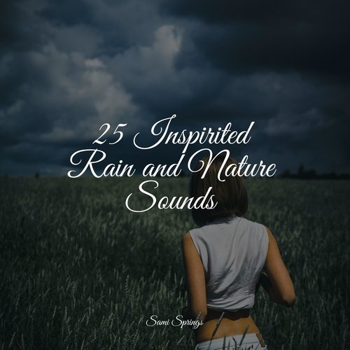 Rain, Storm and Thunder cover art