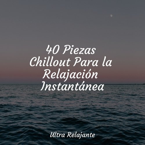 40 Piezas Chillout Para la Relajación Instantánea_poster_image