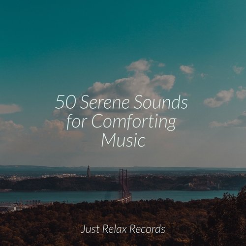 50 Serene Sounds for Comforting Music