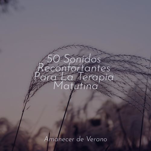 Arrullo del Eco Místico cover art