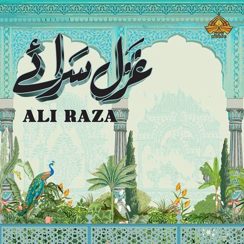 Ali Raza in Ghazal Saraaey