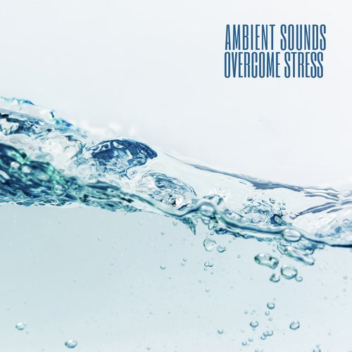 Tranquil Atmosphere cover art