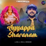 Ayyappa Sharanam