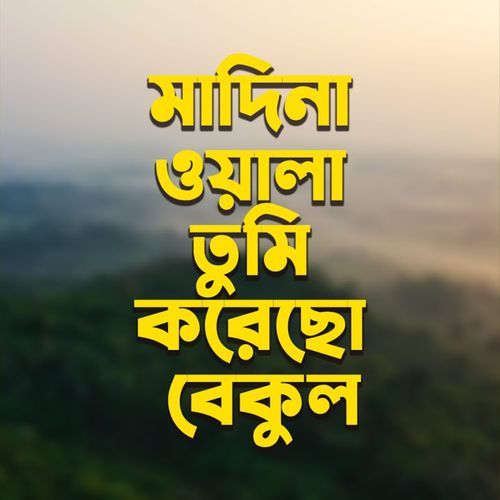 মাদিনা ওয়ালা তুমি করেছো বেকুল