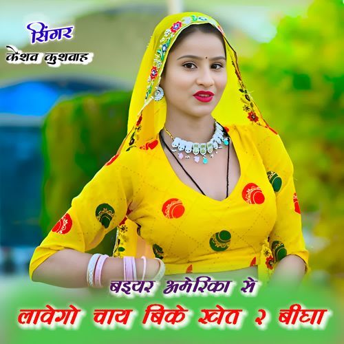 Baiyar America Te Labengo chaye bike khet 2 begha cover art