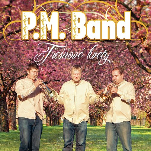 Best of PM BAND