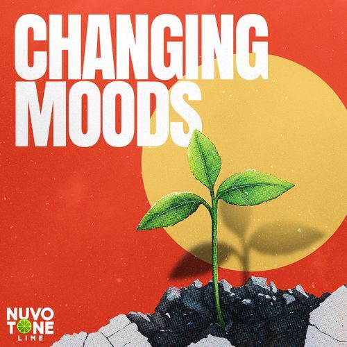 Cloudy To Clear cover art