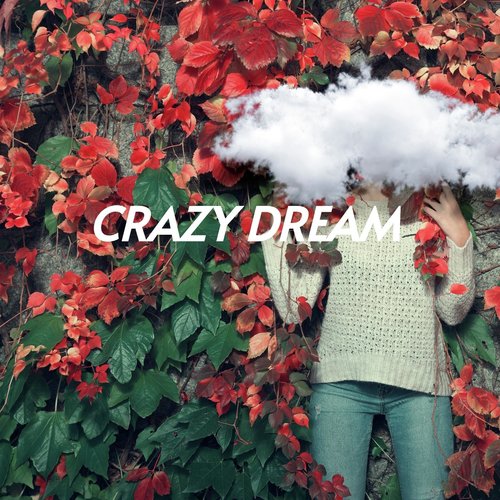 Crazy Dream