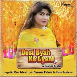 Desi Byah Ke Lyani 2-A1AackUIb1E