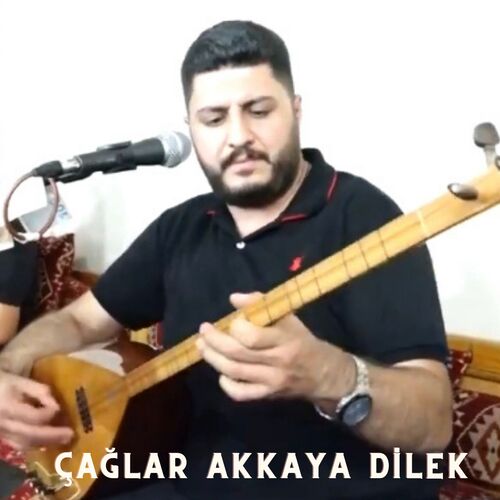 Dilek cover art