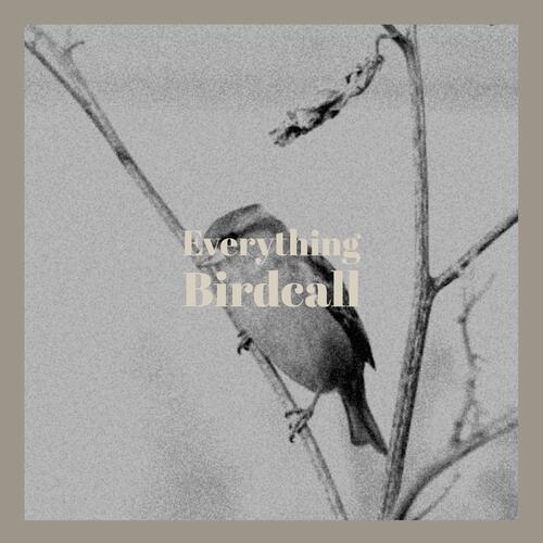 Background Research cover art