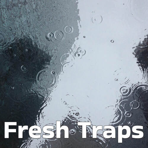 Fresh Traps